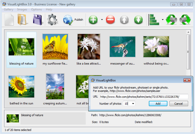 DHTML Popup software